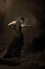 flamenko-Marina Elana Scannell 13