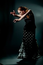 flamenko-Marina Elana Scannell 3